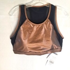 Fabletics Camryn Metalic Sports Bra Size L /10-12 Removable Cups  Semi Sheer